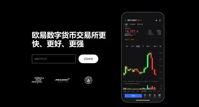欧e最新官网入口系统展示图